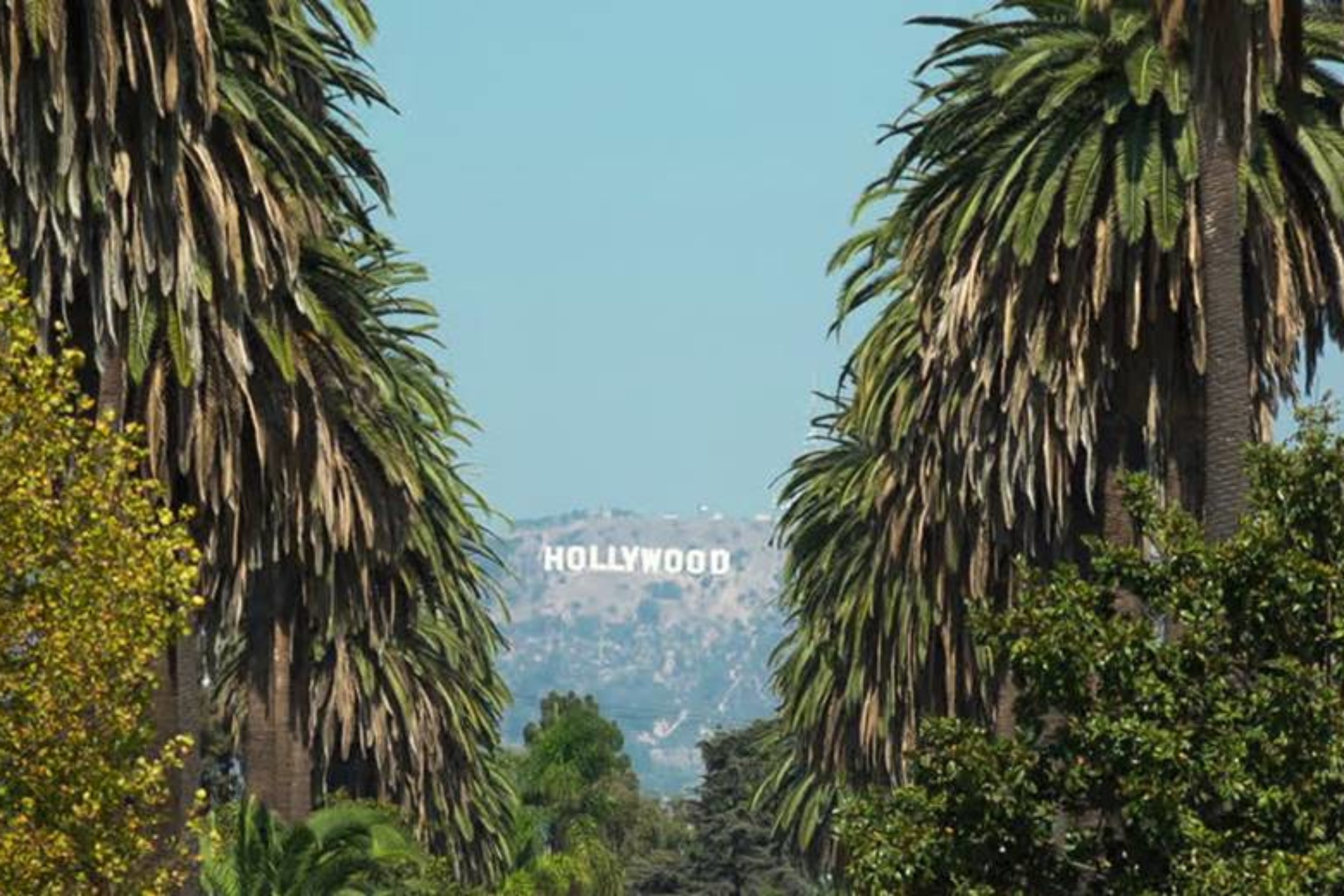 Hollywood Sign-image0032